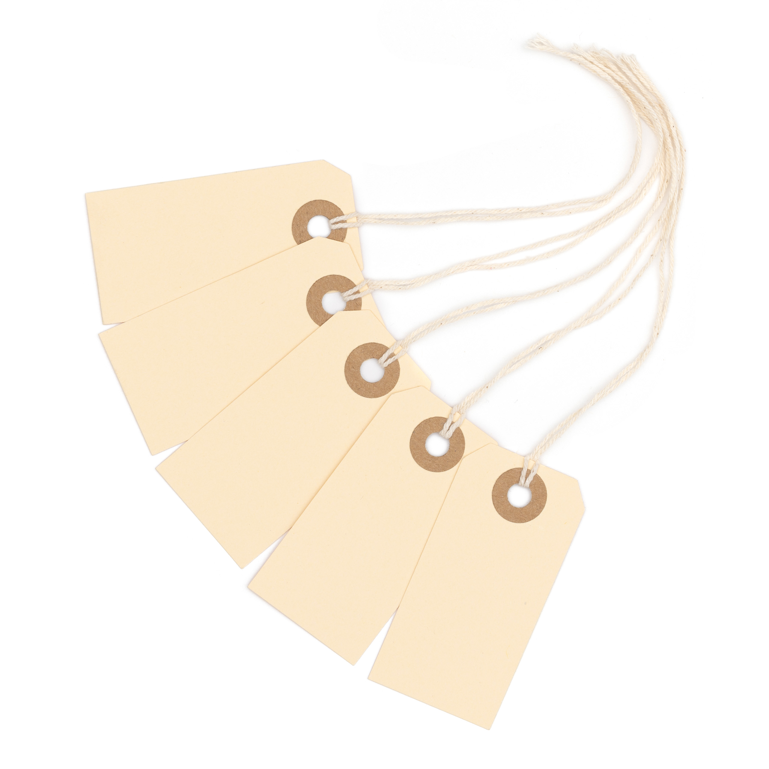 Manila Paper Tags #1 with Wire Attached, 2 3/4” x 1 3/8”, (Box of 250)  Blank Manila Paper Label Tags with Metal String and Reinforced Hole - EZDOM  Tags